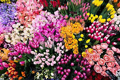 Steam武侠《武林志》今日6折，SnailGames 旗下大作低至2折起