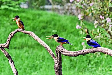 2023年苹果世界开发者大会将于6月5日举行